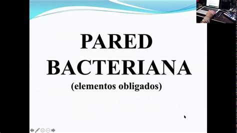 Microbiología Estructura De Los Agentes Infecciosos Bacterias J