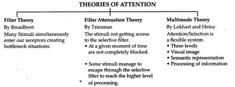 Sensory Attentional And Perceptual Processes CBSE Notes For Class 11