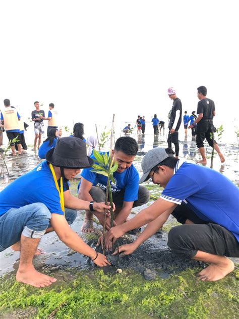 Kolaborasi Mahasiswa Kkn Tematik Uho Dan Pt Smi Tanam Mangrove Di