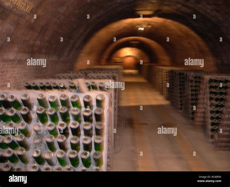 Codorniu Winery Cava Cellar Catalonia Spain Stock Photo Alamy