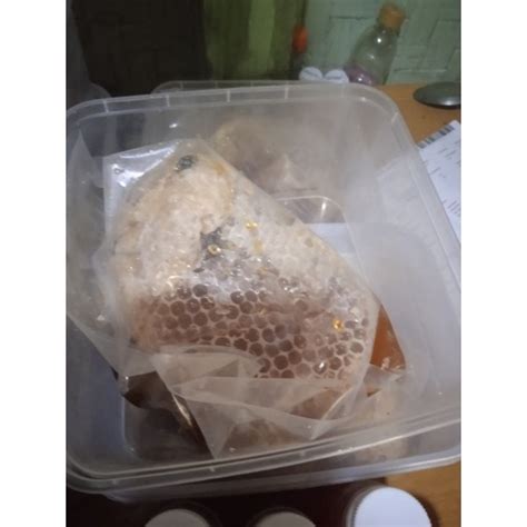 Jual Madu Sarang Lebah Liar Jenis Apis Dorsata Odeng 1000 Grm Shopee