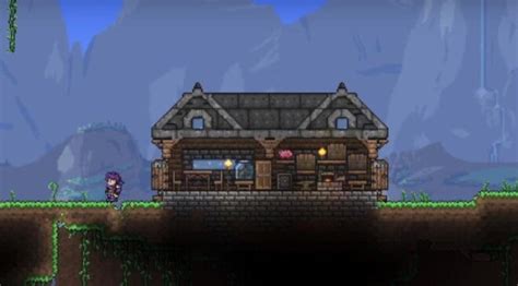 How To Make Your Terraria House Designs Look Amazing?