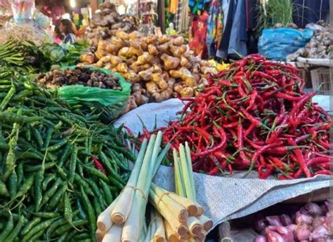 Harga Cabai Di Kota Bengkulu Melambung Rp90 Ribu Hingga Rp100 Ribu Per Kg