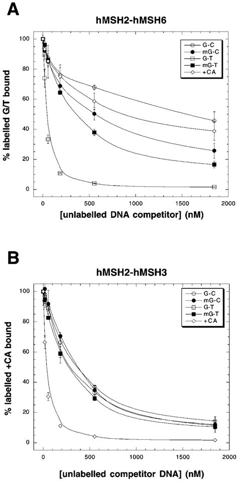 Competition binding specificity of hMSH2-hMSH6 and hMSH2-hMSH3 to ... 