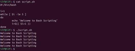 Introduction To Bash While Loop With Examples Its Linux Foss