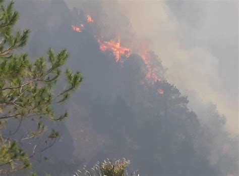 Continuan labores para la atención de incendio forestal en Cadereyta de