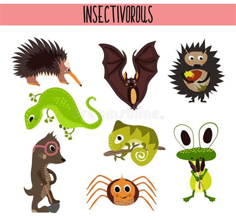 Cartoon Set of Cute Animals insectivores living in different parts of ...