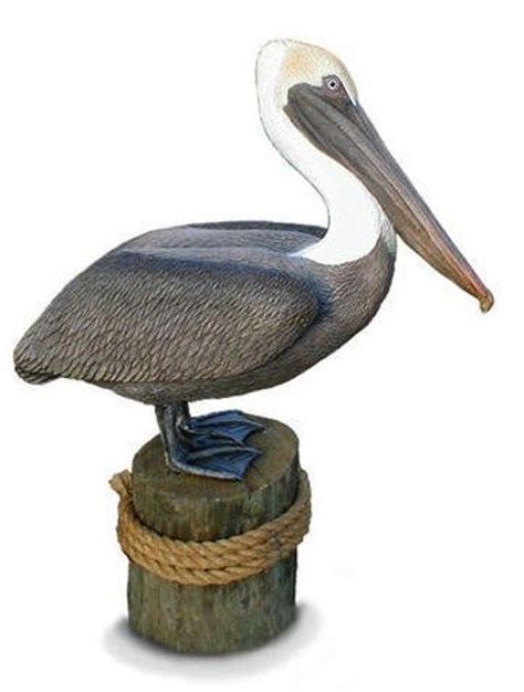 Life Size Brown Pelican Sculpture Limited Ed Statue Etsy