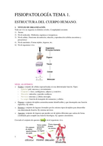 Tema Fisiopatolog A General Pdf