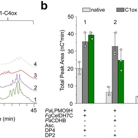 Analysis Of AA7 LPMO Interplay In Cellulose Degradation Reactions Were