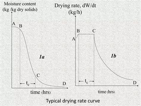 Theory of Drying(Food Engineering) | PPTX