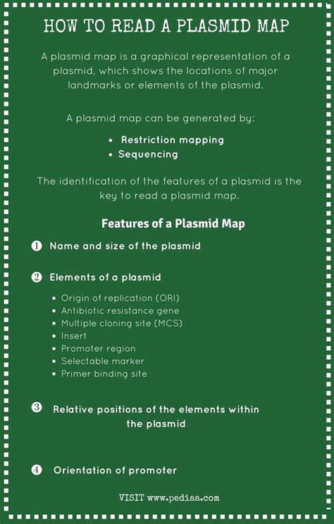 How to Read a Plasmid Map - Pediaa.Com