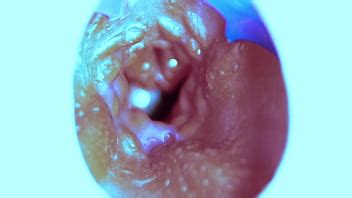 How I Fuck From The Inside Camera Inside Xvideos