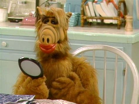 Funny Alf Quotes. QuotesGram