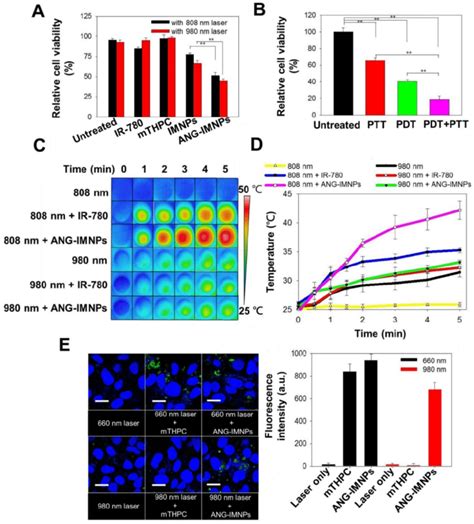 In Vitro PDT PTT Effects On ALTS1C1 Cells A Cytotoxicity Of Free