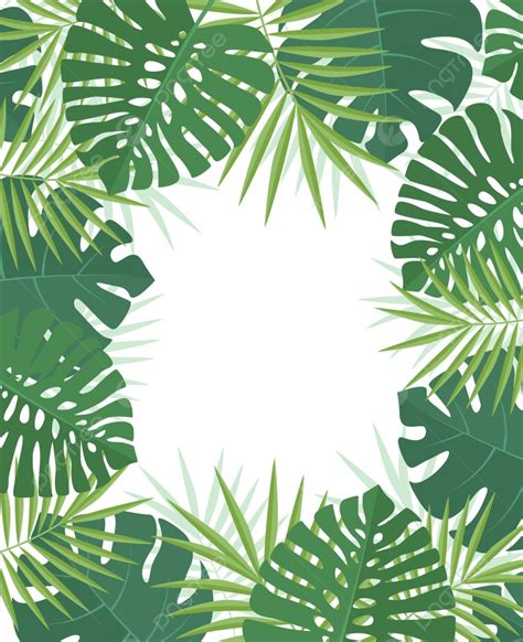 Palm Green Leaves Frame Tropic Graphic Vector Frame Tropic Graphic