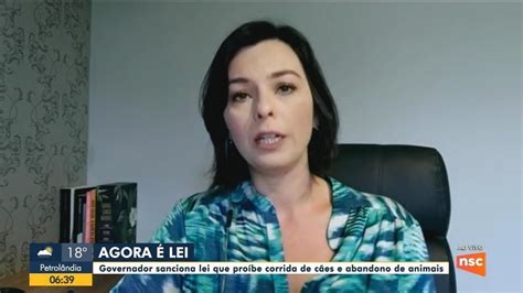 Governador De Sc Sanciona Lei Que Pro Be Corridas De C Es E Abandono De