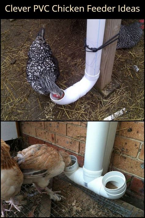 How To Build An Inexpensive Chicken Feeder From PVC Chicken Feeders