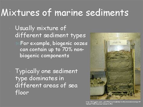 Marine Sediments Eroded Rock Particles And Fragments Transported