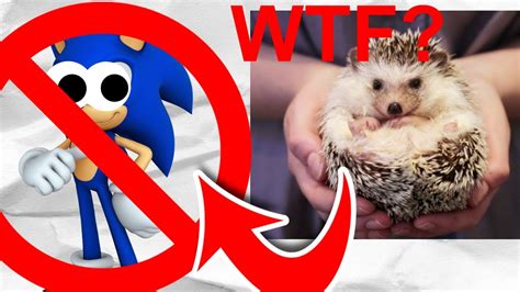 GAY MER THEORY SONIC ISN T A HEDGEHOG YouTube