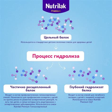 гидролизованный белок в смеси что это