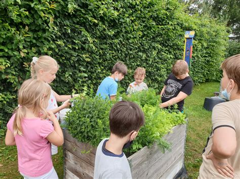 Kräuter und Gemüsefest Oswald Berkhan Schule