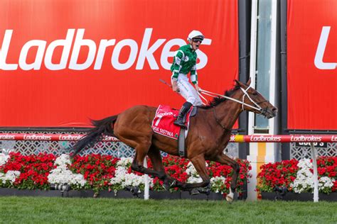 Champions Stakes money says Via Sistina is unbeatable