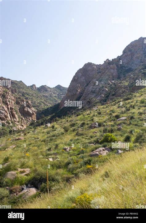 Organ Mountains Hiking Trail Stock Photo - Alamy