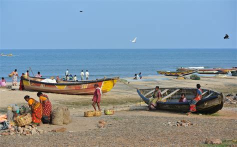 Free Images : work, beach, sea, coast, ocean, people, shore, vacation