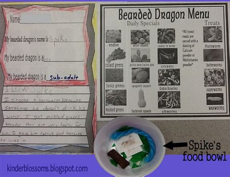 Christina S Kinder Blossoms Bearded Dragon Unit