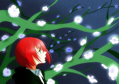 Anime La Novia Del Antiguo Mago Chise Hatori Fondo De Pantalla HD