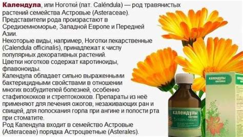 Настой календулы спиртовой – Настойка календулы на спирту: рецепт ...