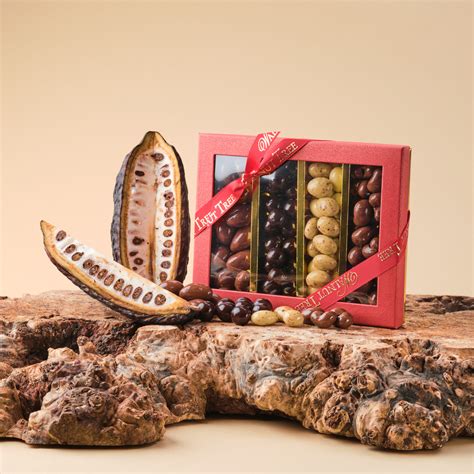 Milk, dark, white and caramel chocolate covered nuts