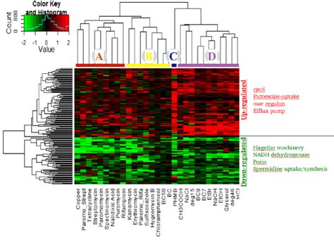 Heatmap Of Genes Which Are Differentially Regulated In Response To