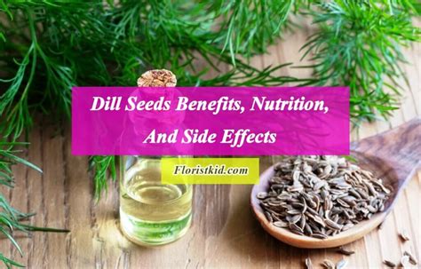 Dill Nutrients Benefits At Joel Marrero Blog