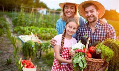 Projeto De Lei Que Socorre Agricultores E Feirantes Na Pandemia é