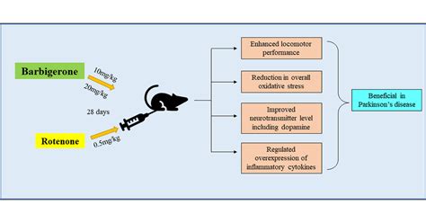 Barbigerone Potentially Alleviates Rotenone Activated Parkinsons