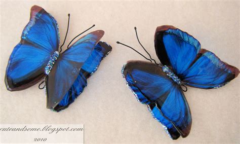 cute   beautiful butterflies