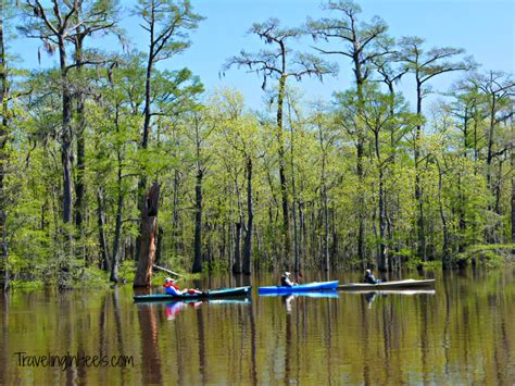 Beaumont, Texas Paddling the Neches River