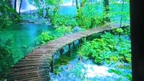 Vídeos gay de Abuelito xHamster