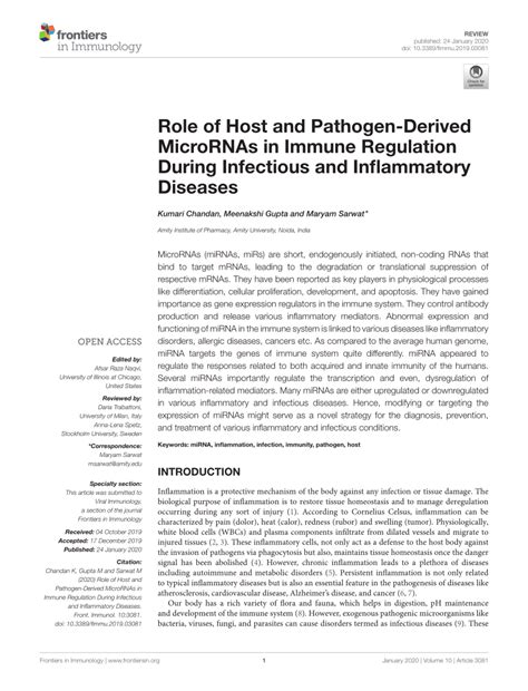 Pdf Role Of Host And Pathogen Derived Micrornas In Immune Regulation