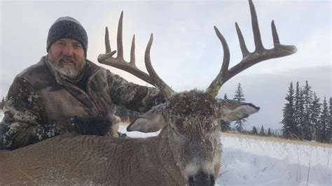 Trophy Alberta Whitetail Hunts Guided Whitetail Hunts Canada