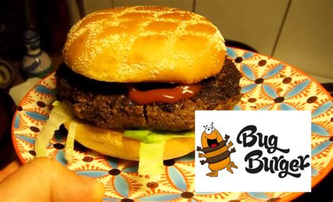 Video Recipe: Bug Burger Makes a Bugburger - Ento Nation