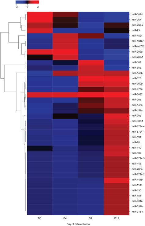 Hierarchical Clustering Mirnas On Polysome Bound Fraction Heatmap The Download Scientific