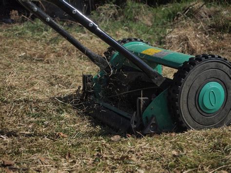 Do Reel Mowers Work? | Best of Machinery