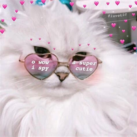 Pin On Pure Wholesomeness Cute Love Memes Wholesome Memes Cute Cat