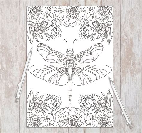 Printable Adult Coloring Page Dragonfly Instant Download Etsy