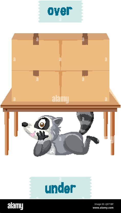 English Prepositions With Raccoons And Box Under And Over The Table Illustration Stock Vector