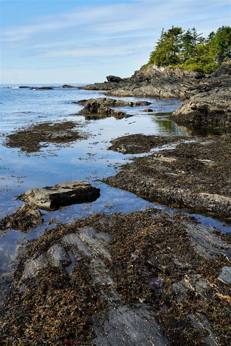 Horizontal View Of The Rugged Vancouver Island West Coast Shoreline