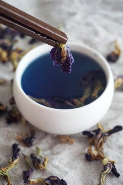 Jual G Butterfly Pea Flower Tea Teh Bunga Telang Clitoria Ternatea Di